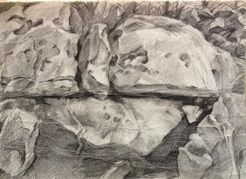 Jerusalem Forest
pencil